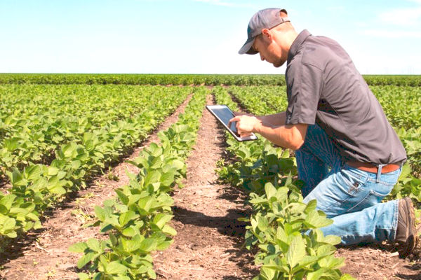 MODELO AGROEXPORTADOR