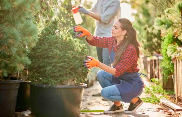 contratar especialistas en jardinería