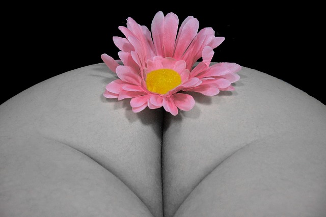 fístula y fisura anal