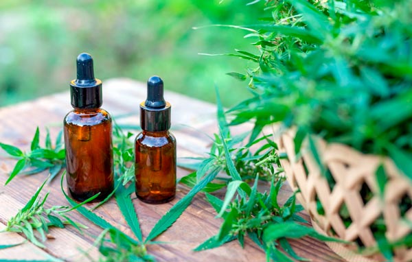aceite de CBD