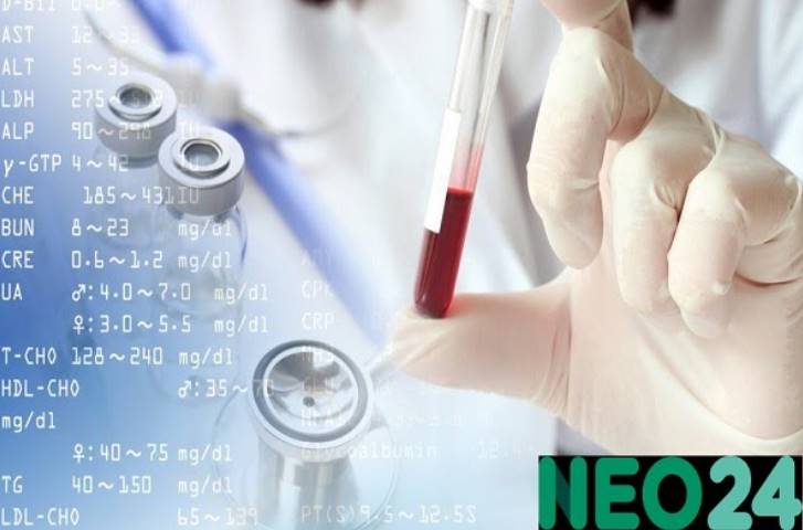 NEO24