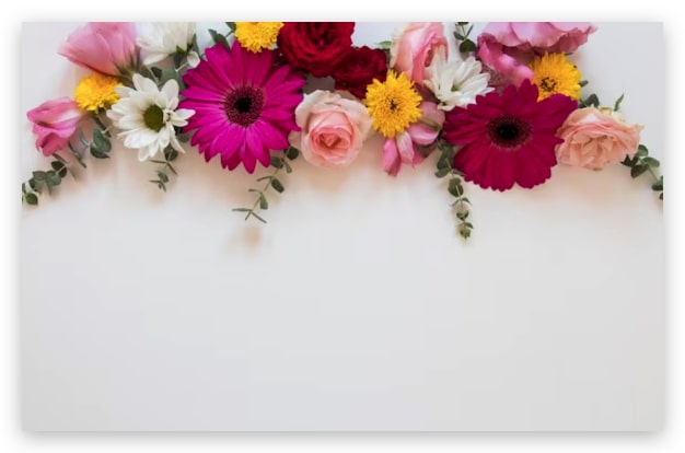 florería en Monterrey